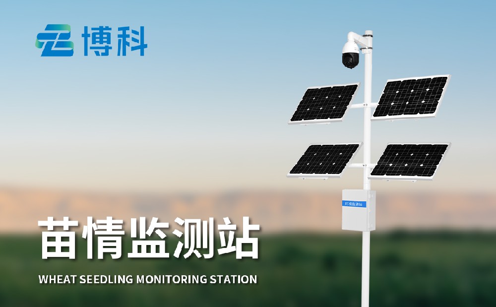 苗情監測系統