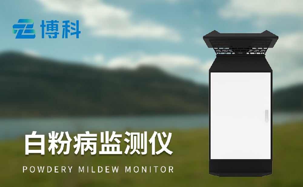小麥白粉病監測儀廠家