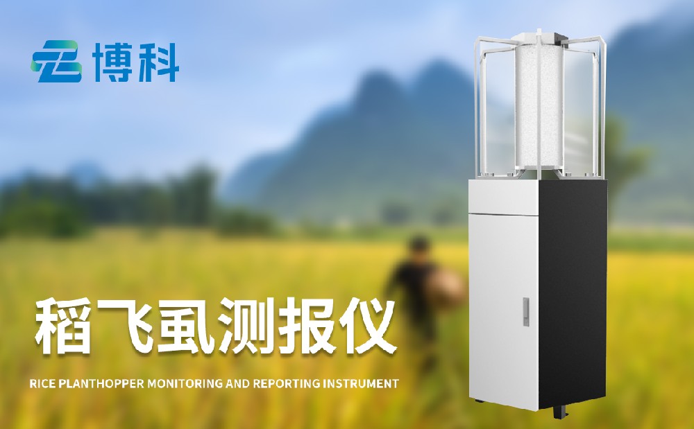 稻飛虱在線測報(bào)儀