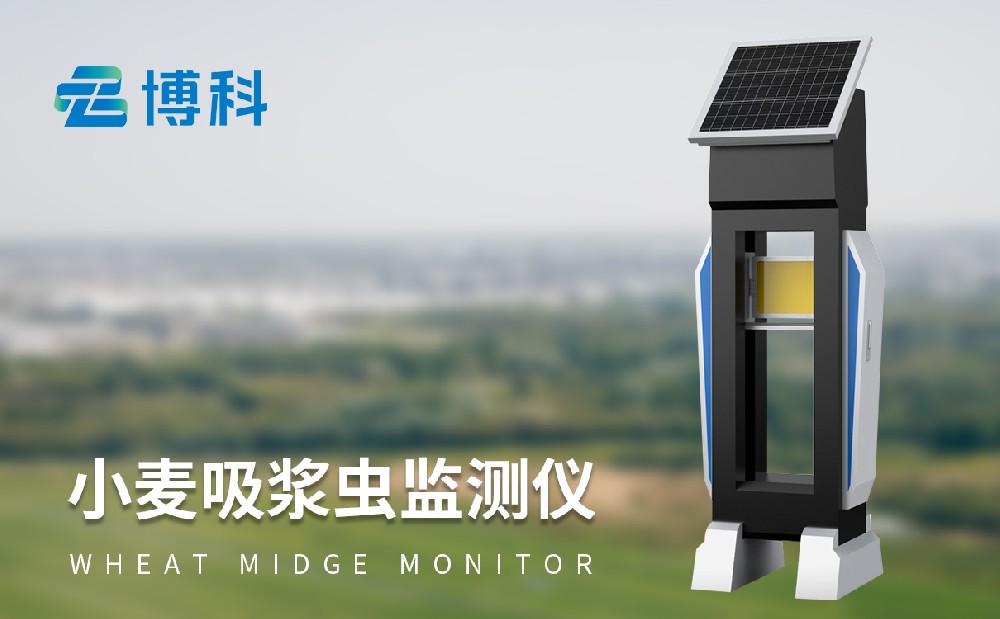 小麥吸漿蟲監測儀