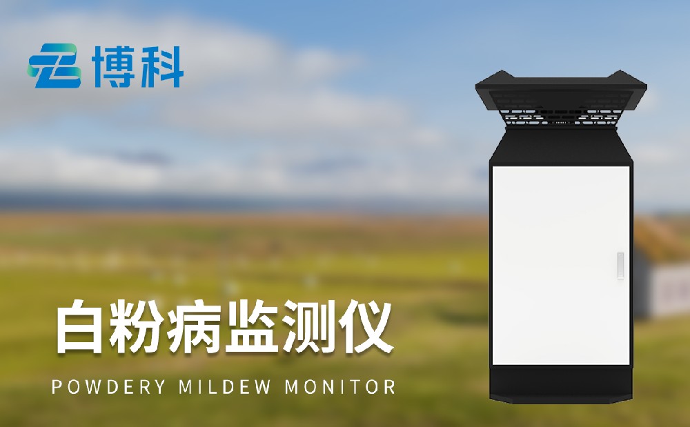 小麥白粉病監測儀