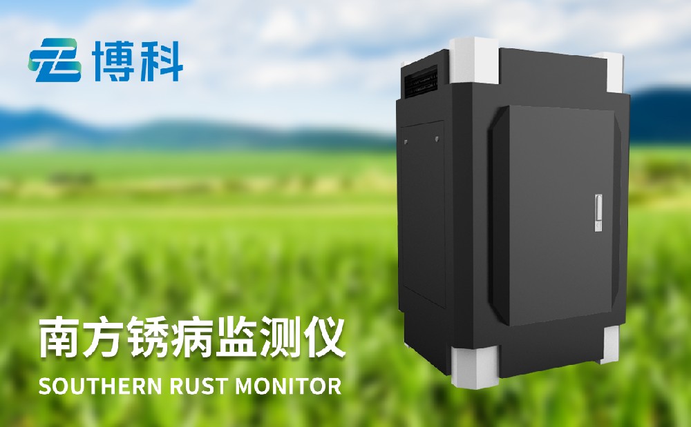 玉米南方銹病